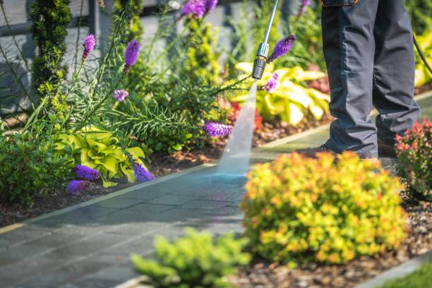 Best Pre-Holiday Cleaning  in Fitchburg, MA